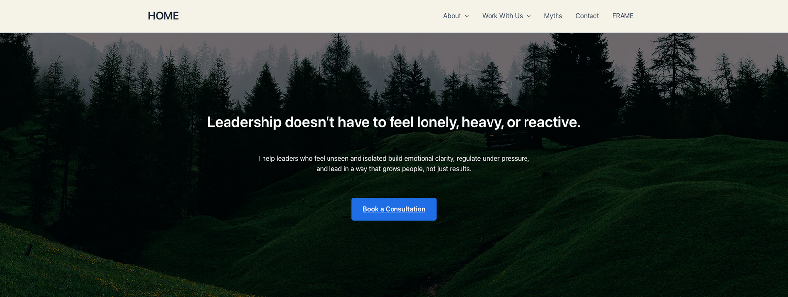 Self Immersion leadership coaching website